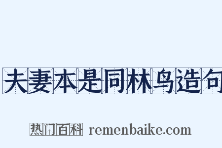 夫妻本是同林鸟造句是什么意思的图片